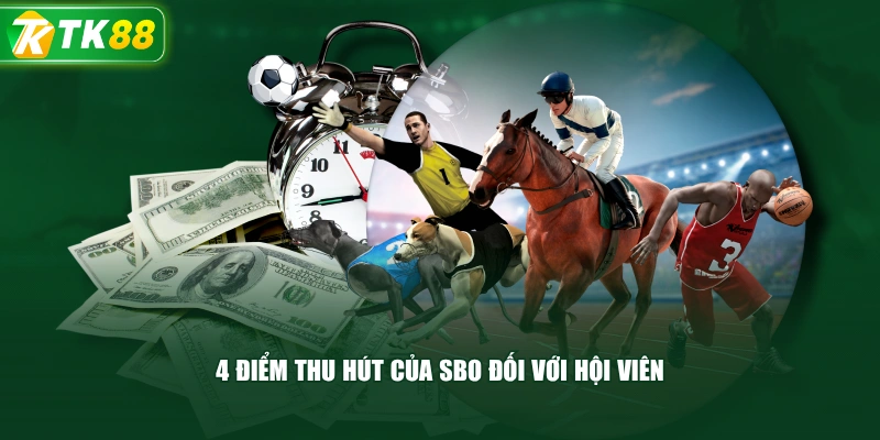 SBO Thể Thao Đẳng Cấp Với Bảng Kèo Cược Đa Dạng, Minh Bạch - ROYAL96