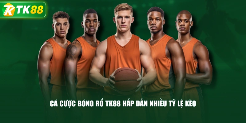 SBO Thể Thao Đẳng Cấp Với Bảng Kèo Cược Đa Dạng, Minh Bạch - ROYAL96