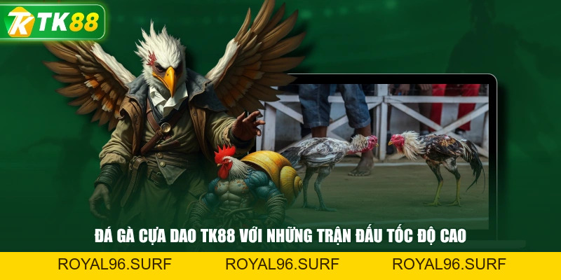 Đá Gà Cựa Dao | Những Giống Kê Nổi Bật Có Lối Đá Ấn Tượng - ROYAL96