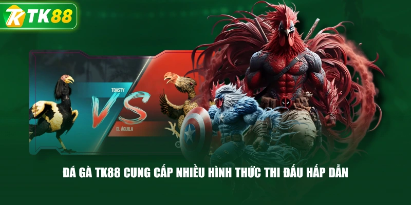 Đá Gà TK88 | Sảnh Đấu Đa Dạng, Trận Đấu Cập Nhật Liên Tục - ROYAL96