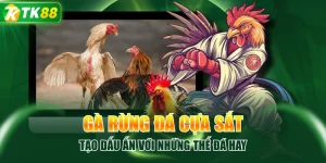 Đá Gà TK88 | Sảnh Đấu Đa Dạng, Trận Đấu Cập Nhật Liên Tục - ROYAL96