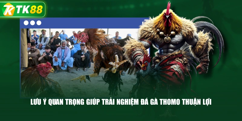 Luật Đá Gà Thomo Và Những Quy Định Cơ Bản Cần Biết - ROYAL96