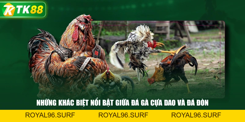 Đá Gà Cựa Dao | Những Giống Kê Nổi Bật Có Lối Đá Ấn Tượng - ROYAL96