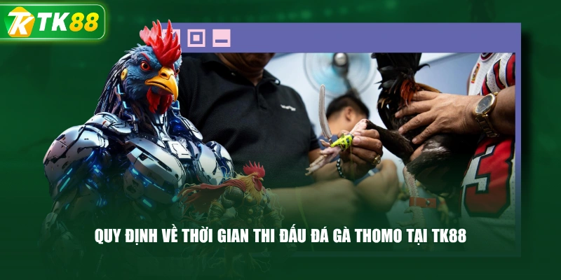 Luật Đá Gà Thomo Và Những Quy Định Cơ Bản Cần Biết - ROYAL96