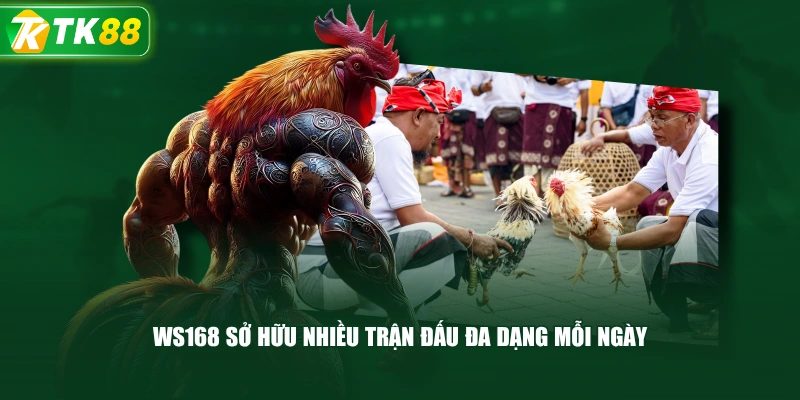 Đá Gà TK88 | Sảnh Đấu Đa Dạng, Trận Đấu Cập Nhật Liên Tục - ROYAL96
